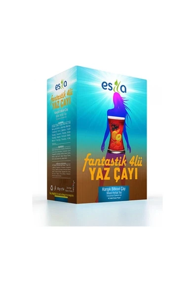 ESİLA Fantastik Dörtlü (yaz Çayı) Karışık Bitkisel Çayı 45 Li 90 Gr ürün görseli 1