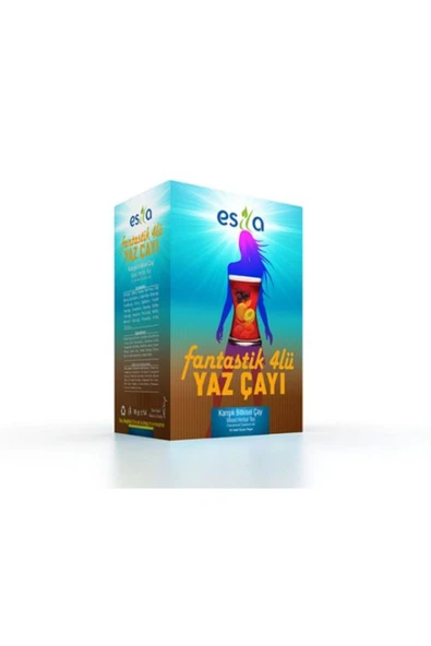 ESİLA Esila Fantastik Dörtlü (Yaz Çayı) Karışık Bitkisel Çay ürün görseli 1