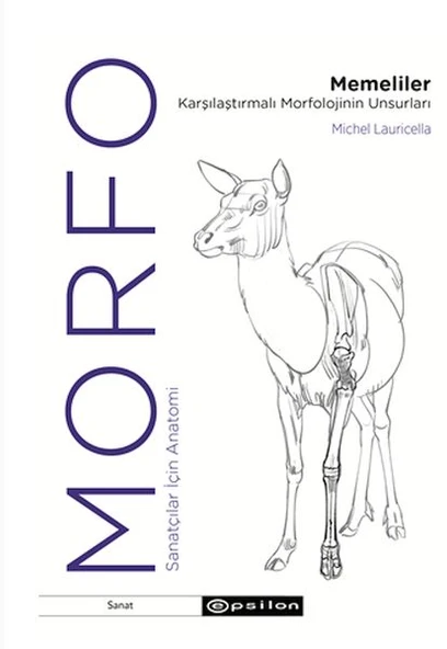 Morfo - Memeliler Karşılaştırmalı Morfolojinin Unsurları ürün görseli 1