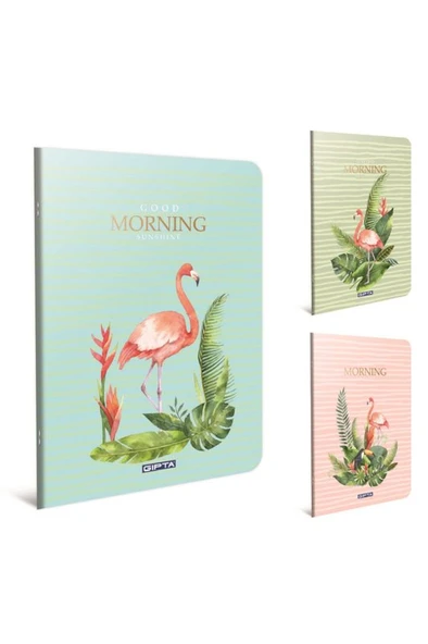 GIPTA MORNİNG PLASTİK KAPAK DEFTER A4 KARELİ 60 YAPRAK (4178) ürün görseli 1