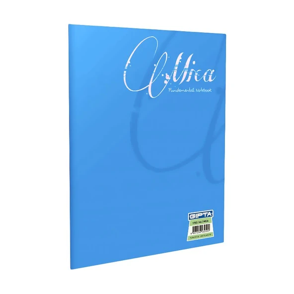 GIPTA MİCA PLASTİK KAPAK DEFTER A4 KARELİ 60 YAPRAK (1705) ürün görseli 1