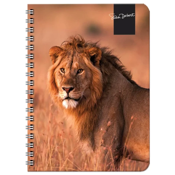 Keskin Color Süha Derbent Çizgili Defter 17x24 cm 120 Yaprak 326811-99 ürün görseli 1