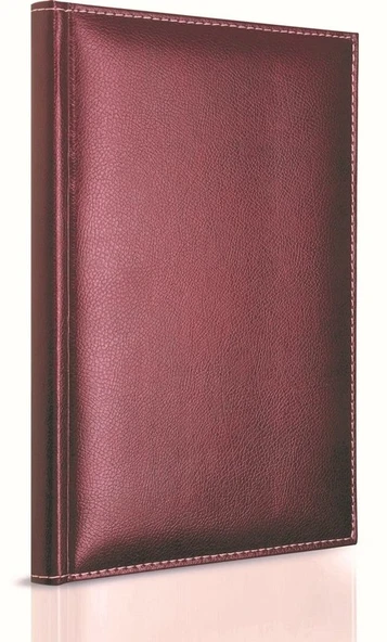 GIPTA MODELİST DERİ KAPAK DEFTER 17x24 ÇİZGİLİ 160 YAPRAK (1603) ürün görseli 1