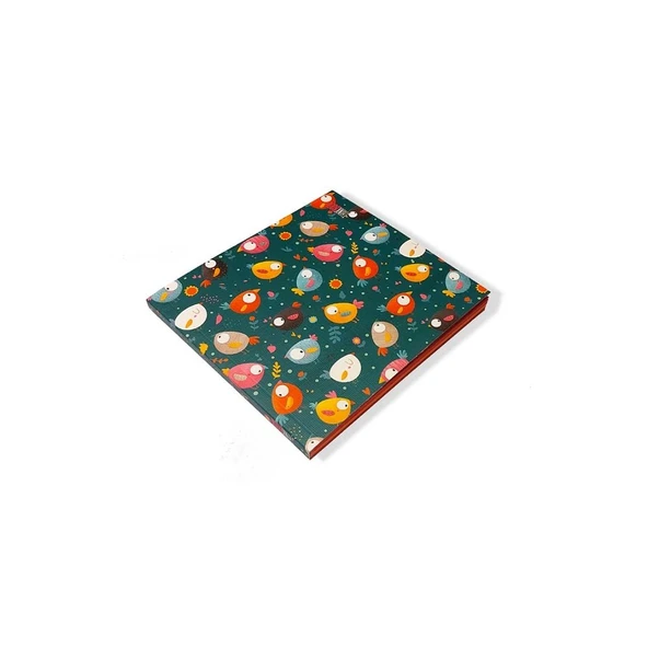 Thinkbook Animals Mini Serisi 15X14Cm Mini Minik Kuşlar ürün görseli 1