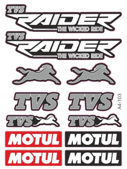 TVS RAIDER 125 STİCKER SETİ SİYAH ürün görseli 1