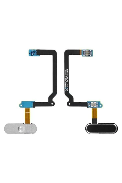 AXYA Galaxy S5 G900 Home Tuşu Ve Sensor Film ürün görseli 1