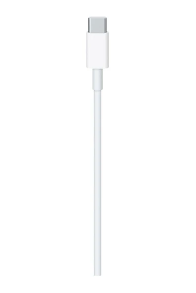 Asia Apple USB-C Charge Cable (2m) MU2G3FE/A 240w - Resim 2