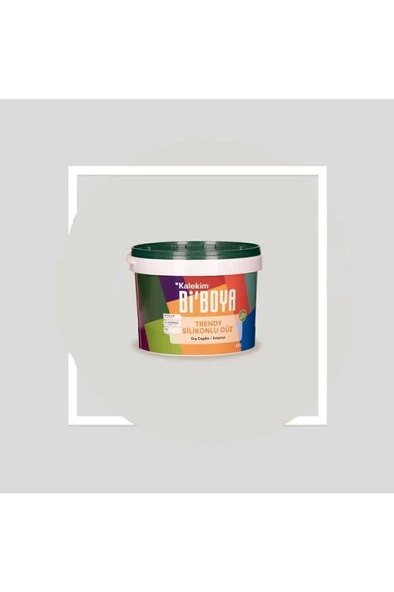 Silikonlu Dış Cephe Boyası 2.5 Lt - Resim 11