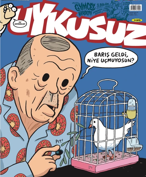 Uykusuz Dergi Haziran 2025 ürün görseli 1