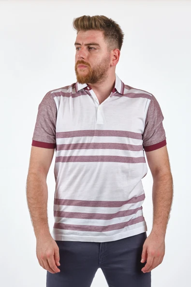 Gallus Erkek Polo Yaka Çizgili T-Shirt - Kısa Kol Regular Fit ürün görseli 1