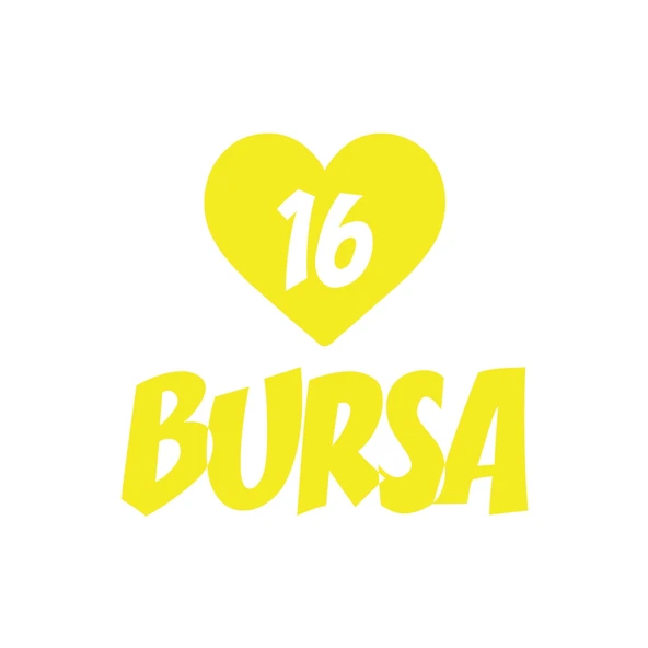 Kalpli 16 Bursa Araba Sticker 17x17 Cm Sarı ürün görseli 1
