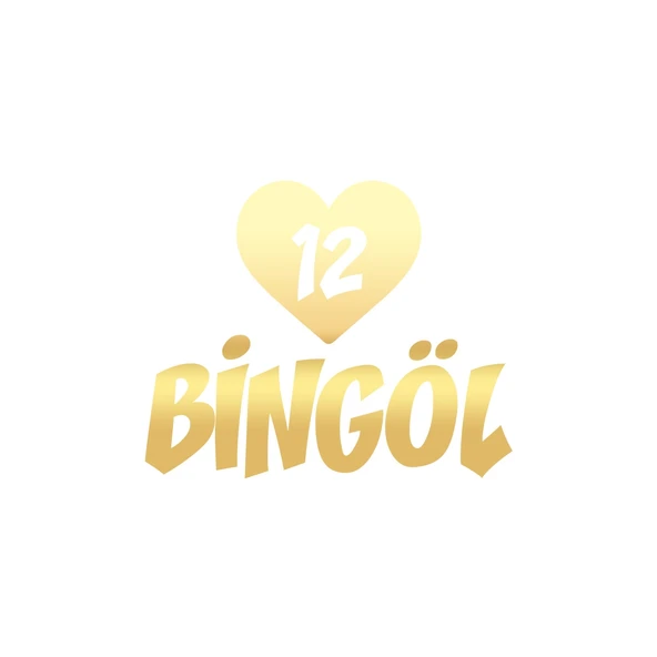 Kalpli 12 Bingöl Araba Sticker 17x17 Cm Gold ürün görseli 1