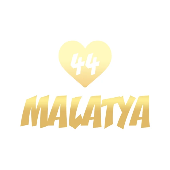 Kalpli 44 Malatya Araba Sticker 17x17 Cm Gold ürün görseli 1