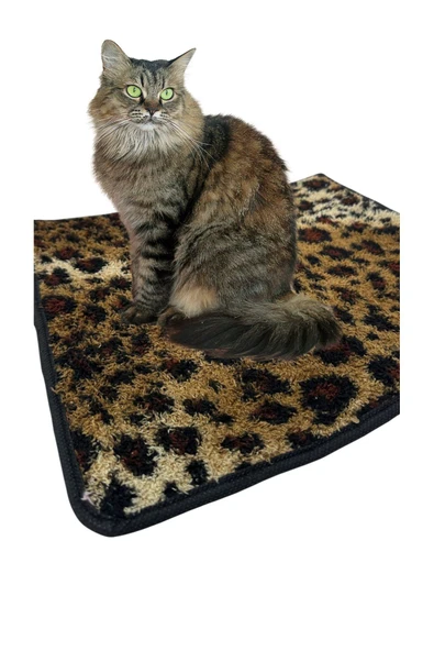 Yumuşak Dokulu Peluş Kedi Halısı 40x40 cm Kulübe İçi Pofuduk Minder ürün görseli 1