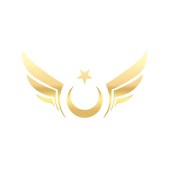 Kanatlı Türk Bayrağı Araba Sticker 17x17 Cm Gold ürün görseli 1