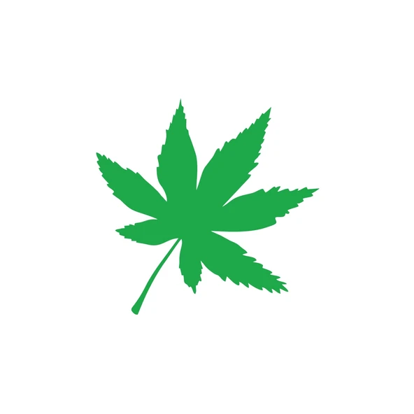 6 Yapraklı Yaprak Araba Sticker 17x17 Cm Yeşil ürün görseli 1