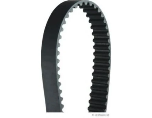 Hutchinson 116HTDP19 TRIGER EKSANTRIK KAYISI R21 CONCORDE  SAFRANE 116x190 ürün görseli 1