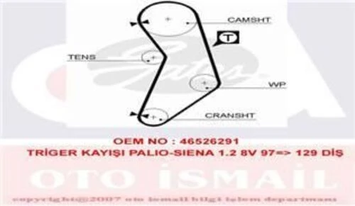 Gates 5545XS TRIGER EKSANTRIK KAYISI PALIO SIENA DOBLO PANDA PUNT ürün görseli 1