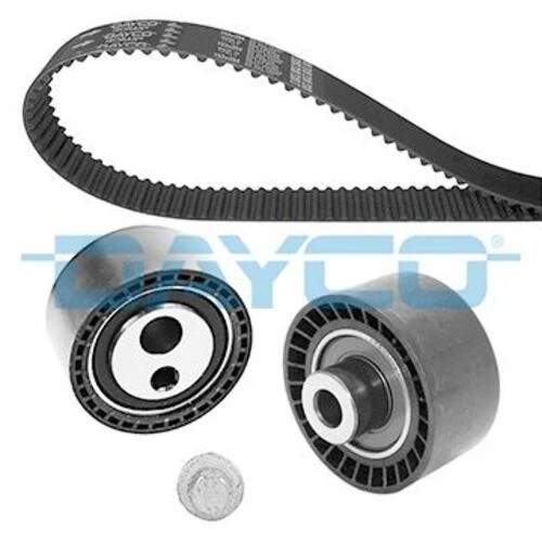 Dayco KTB197 EKSANTRİK RULMAN KITI TRİGER SETİ EVASION-XANTIA-XSA ürün görseli 1