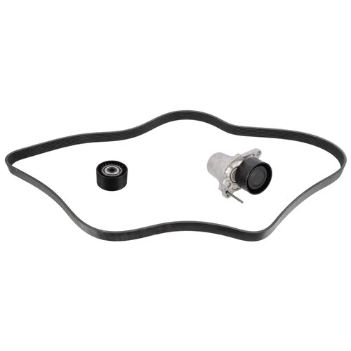 FEBI 183563  Kanallı V Kayışı Seti Renault 6262000270 ürün görseli 1