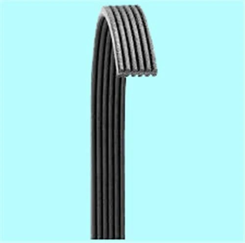 Bando 6PK1010 V Kayışı Laguna / Boxer 2.5D 2.2 ürün görseli 1