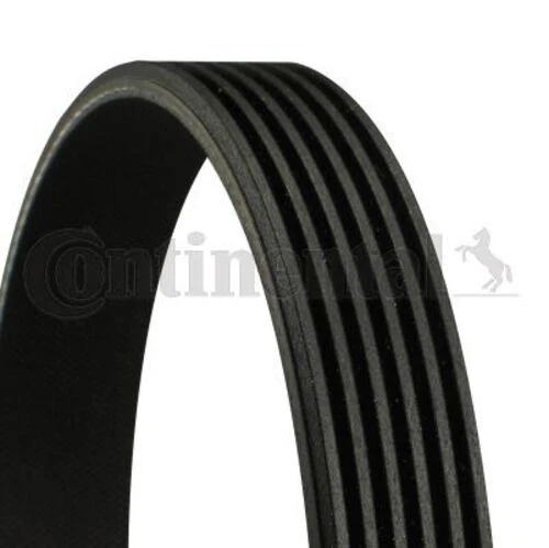 Continental 6PK1010 Contitech 6Pk1010 Kanallı Kayış Boxer Jumper 2.5D 94 - ürün görseli 1