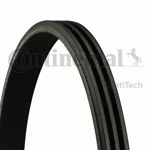 Continental 3PK703 CONTITECH  V Kayışı Kanallı CLIO I 90-98 ürün görseli 1