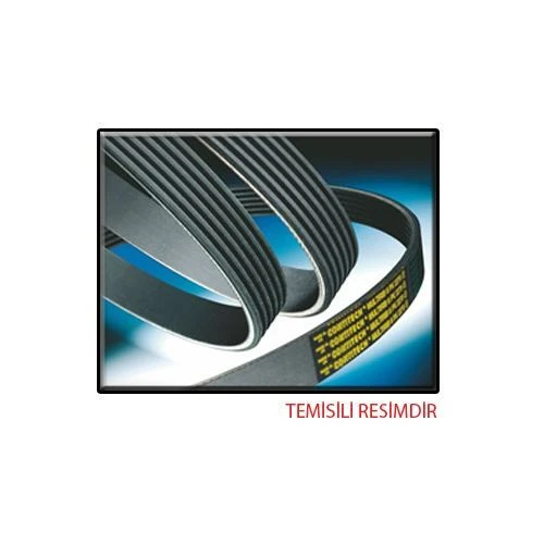 Continental 4PK975 CONTITECH  V KAYIŞI STAREX H100 / MAZDA 3 3.23 2.4 ürün görseli 1