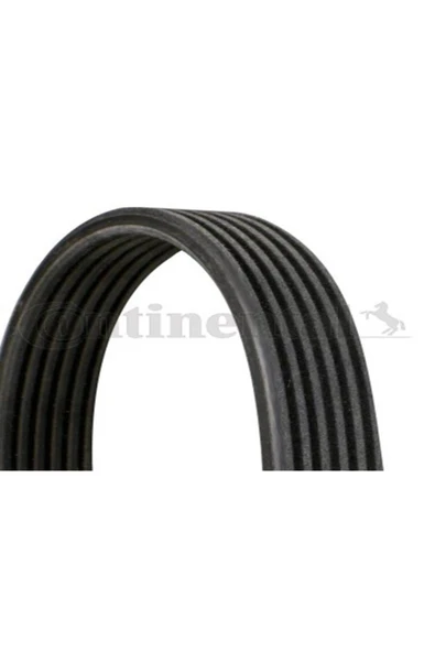 Continental 6DPK1225 Kanallı Kayış Çıft Kanallı Brava Marea Cupe 68383d ürün görseli 1