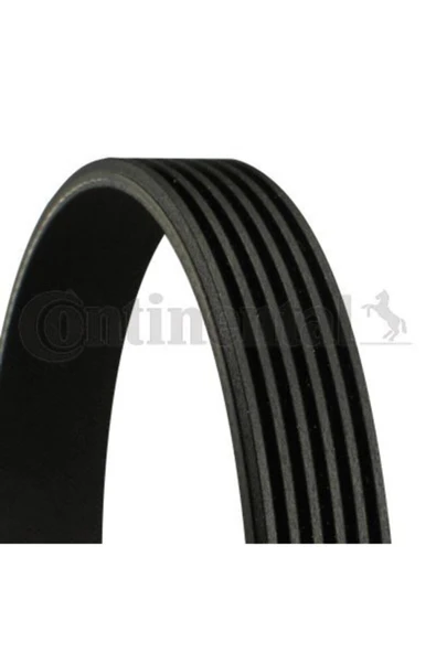 Continental 6PK1400 6pk890 V Kayışı Clıo Iı Kangoo 1.9d F8q Nac ürün görseli 1
