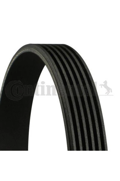 Continental 6PK2404 V Kayışı Kanallı Passat 98-05 2.5 Tdı ürün görseli 1