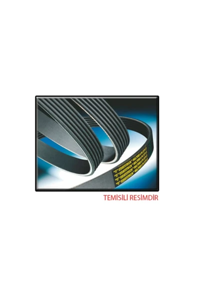 Continental 8PK2585 Contınental  Kanallı Kayış Mercedes 600 S600 Sl600 6.0 48v Mercedes W140 91-98 ürün görseli 1