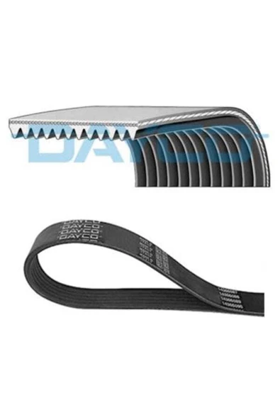 Dayco 12PK1835HD Kanallı Kayış Iveco Stralıs ürün görseli 1