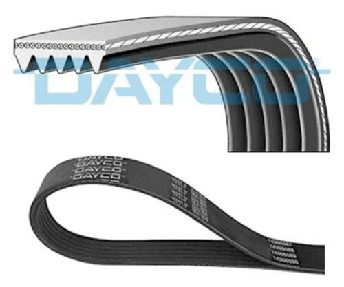 Dayco 5PK1125 KANALLI KAYIS CITROEN-PUGEOT-Toyota Uyumlu ürün görseli 1