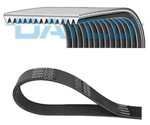 Dayco 14PK1306HD KANALLI KAYIŞ ürün görseli 1