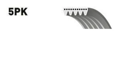 Dayco 5PK0820 Kanallı Kayış ürün görseli 1