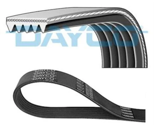 Dayco 5PK1550 Kanallı Kayış ürün görseli 1