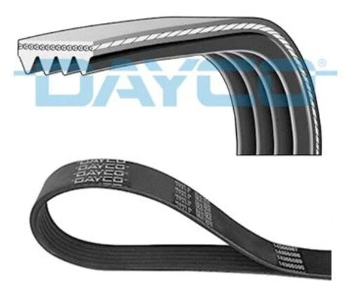 Dayco 4PK1130 Kanallı Kayış ürün görseli 1