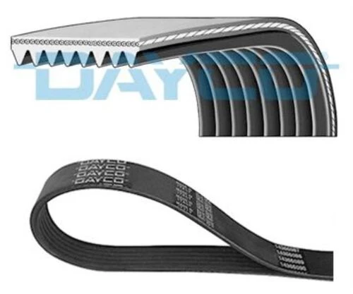 Dayco 8PK1646HD KANALLI KAYIS ürün görseli 1