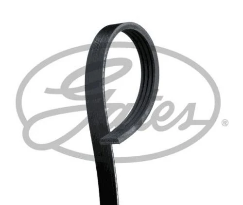 Gates 4PK595 KANALLI KAYIS PROTON 48332 ürün görseli 1