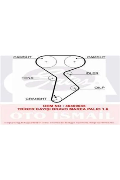 Gates 5432XS TRIGER EKSANTRIK KAYISI PALIO ALBEA DOBLO MAREA BRAV ürün görseli 1