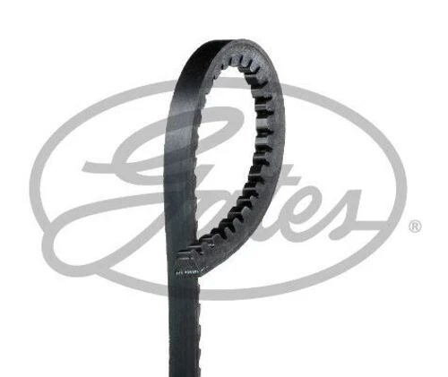 Gates 10X925HD Tırtıllı V Kayışı 13A0925 6217Esc ürün görseli 1