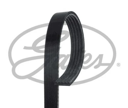 Gates 5PK1515 V KAYIŞI CLIO II 98- ürün görseli 1