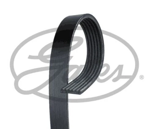 Gates 6PK868SF Kanallı Kayış Crafter 2,0TDI 16- Man Tge 2,0TDI 16- ürün görseli 1