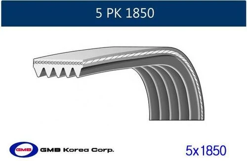 Gmb 6PK0910 V Kayışı Dctbxr (6Pk910) ürün görseli 1