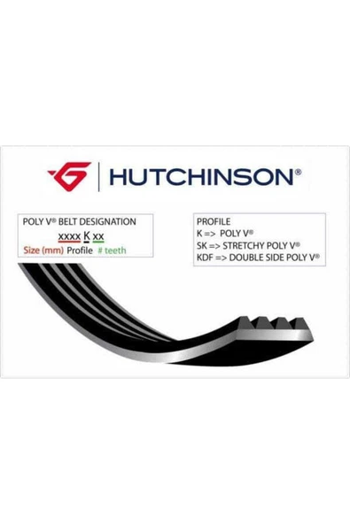 Hutchinson 6DPK1817 V Kayışı Bmw 1 Bmw 3 ürün görseli 1