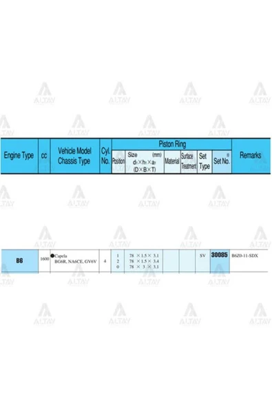 Rıken 30085 RIK -STD Segman 323 90-97 1.6 78.00Mm B6 Std Takım ürün görseli 1