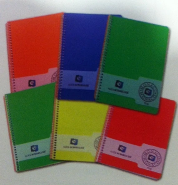 Alex Schoeller Spiralli Çizgili Defter A4 80 Yaprak ürün görseli 1