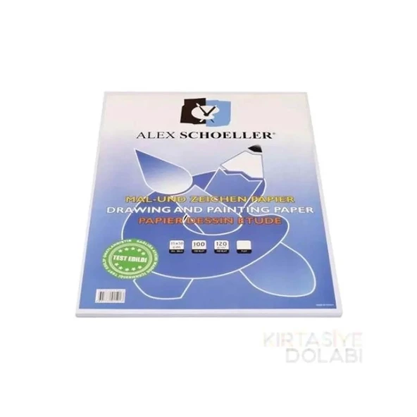 Alex Resim Kağıdı 35x50 120Gr ürün görseli 1