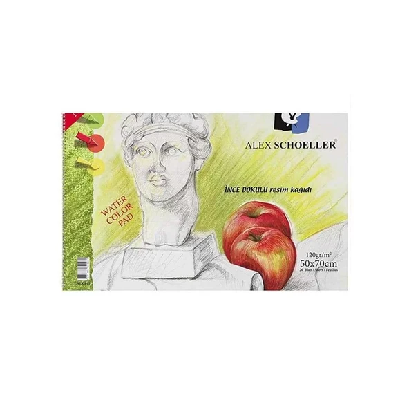 Alex Schoeller Spiralli Resim Defteri 50x70 cm 20 Yaprak ürün görseli 1